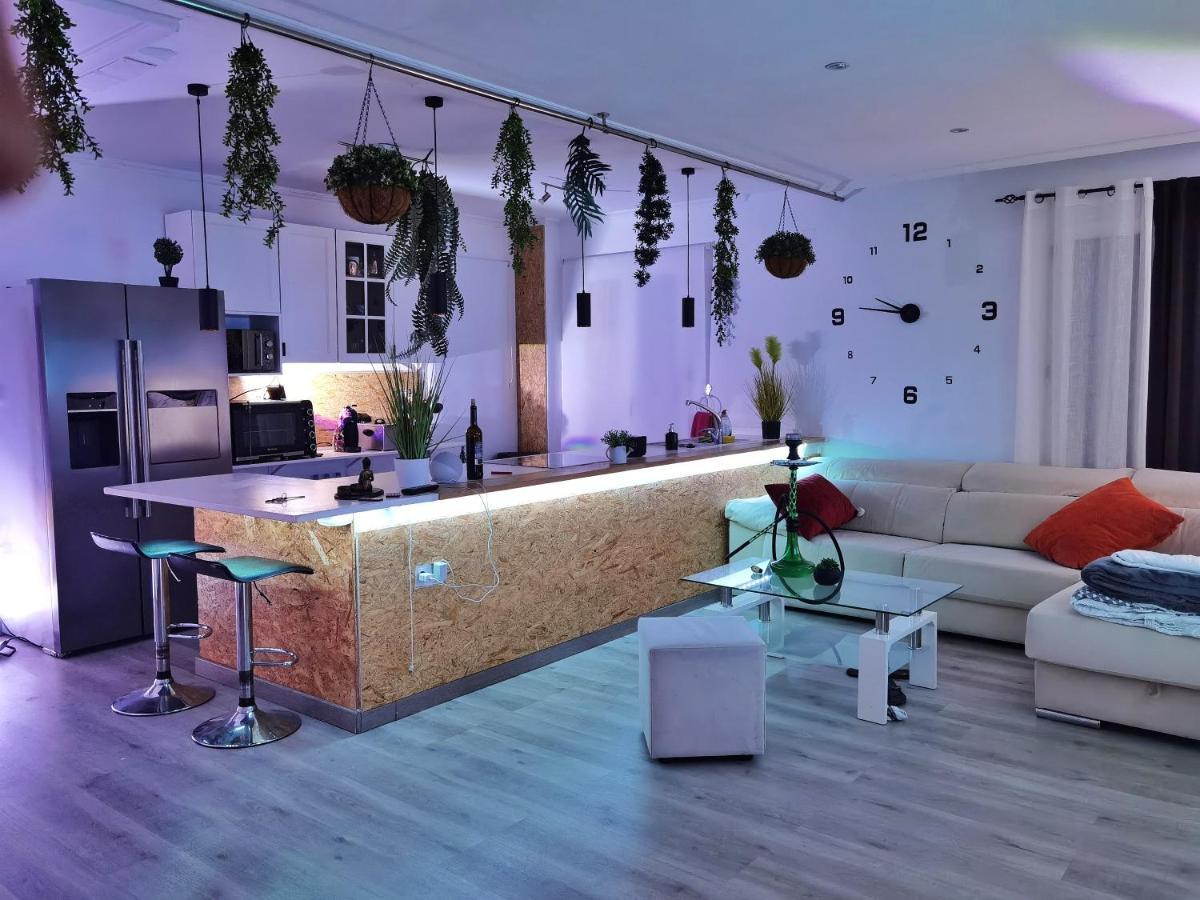 Stag Hendo25Pax Only 10Min To The Party Area Despedidas 25Pax 10 Min De La Zona De Fiesta Consultar Precio Benidorm Ngoại thất bức ảnh